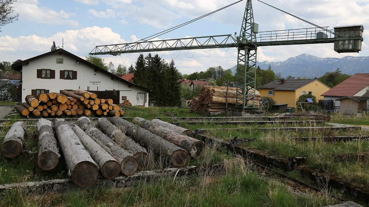 Rundholz auf dem Lagerplatz eines Sägewerks in Murnau