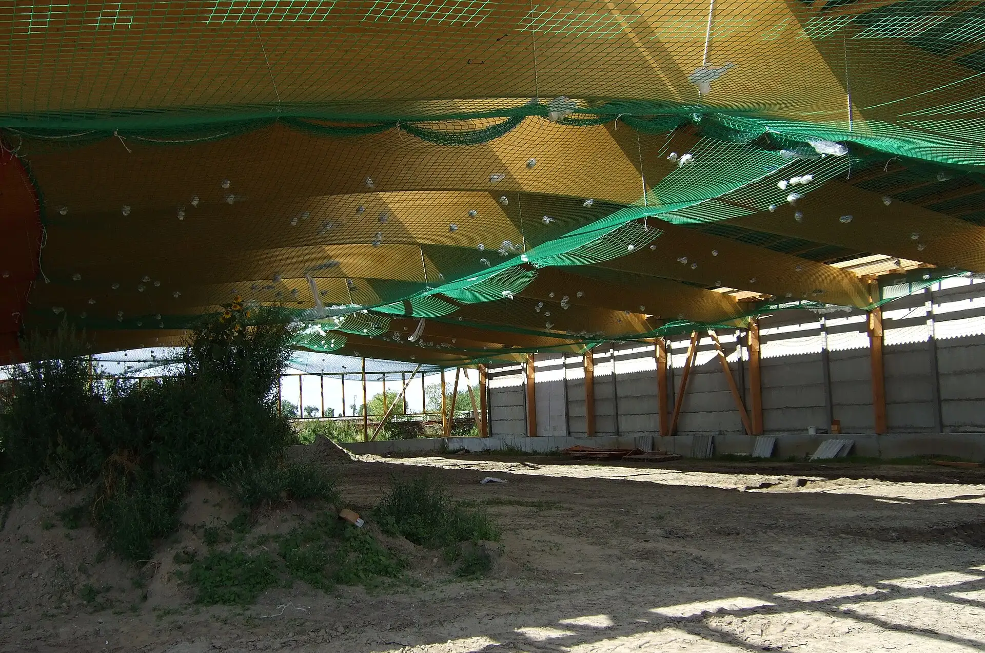 Weit gespanntes Holztragwerk einer Halle in Brandenburg